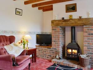a living room with a brick fireplace with a tv and a fire place at River Wye View Cottage in Symonds Yat