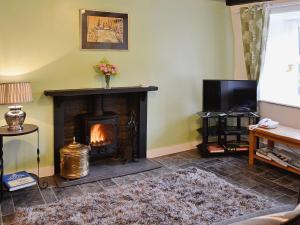 a living room with a fireplace and a television at Capel Fawnog Mawr in Talsarnau