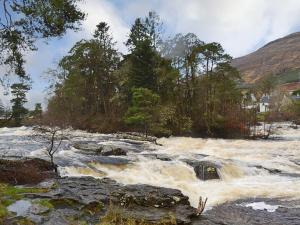 a river with rapids on top of rocks and trees at Gracedieu in Killin