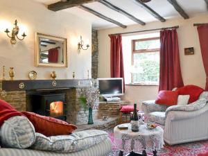 a living room with a fireplace and a tv at Forget Me Not Cottage in New Radnor