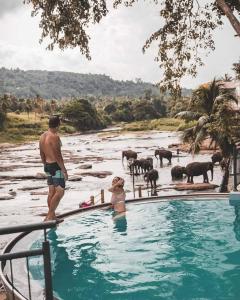 a man standing in a swimming pool with a herd of elephants at Hotel Elephant Bay in Pinnawala