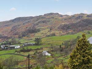 a green hillside with houses and trees and a mountain at Fell View in Kentmere