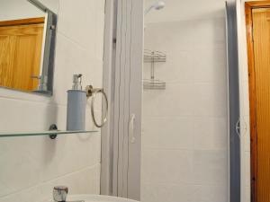 a bathroom with a shower with a toilet and a sink at Yr Hen Sgubor in Pentre-briwnant