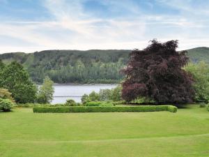 a green yard with a large tree and a lake at The Coach House in Thirlmere
