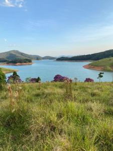 una vista de un gran cuerpo de agua con flores púrpuras en Cantinho dos sonhos, en Paraibuna