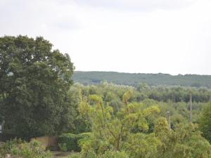 a view of a forest of trees with at Cedars in Fordwich