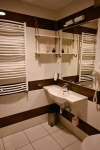 un bagno con lavandino e specchio di Zielone Apartamenty z aneksem kuchennym a Legnica
