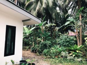 a side view of a white house with trees and plants at Minds House in Ban Nua Tha