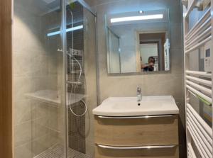 a bathroom with a sink and a shower with a mirror at Chalet La Licorne au pied des pistes in Notre-Dame-de-Bellecombe