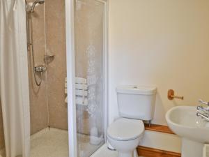 a bathroom with a shower and a toilet and a sink at Torridge in Great Torrington