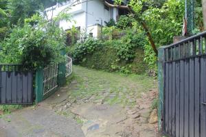 Um jardim em Lazy Bear Best Hostel in Kandy