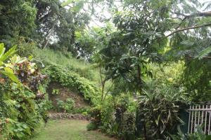 Um jardim em Lazy Bear Best Hostel in Kandy