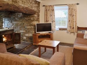 uma sala de estar com televisão e lareira em Dyserth em Clynnog-fawr