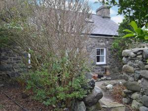 a small tree in front of a stone house at Dyserth in Clynnog-fawr