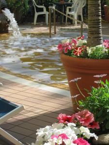 a large pot of flowers sitting next to a pool at Hotel Europa in Ischia