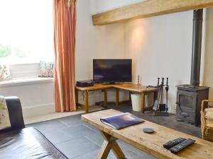 a living room with a tv and a wood stove at Bron Yr Aur in Beddgelert