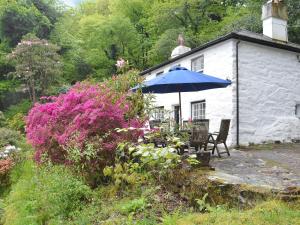 a house with a blue umbrella and chairs and flowers at Bron Yr Aur in Beddgelert