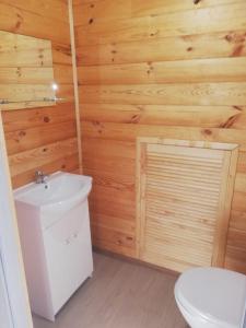 a bathroom with a toilet and a sink at Apartamenty i domki letniskowe Galapagos in Okuninka