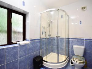 a bathroom with a shower and a toilet at South Lodge Cottage in Standish