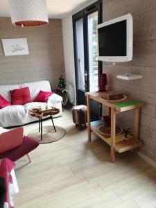 TV a/nebo společenská místnost v ubytování Chalet Dionysos