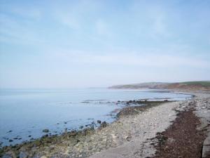 a view of the beach from the shoreline at Winloma in Port William