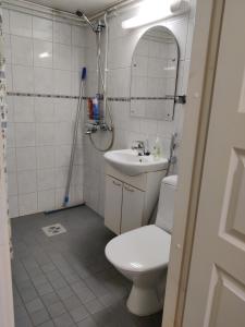 サロにあるMarent Apartmentsのバスルーム(トイレ、洗面台、鏡付)
