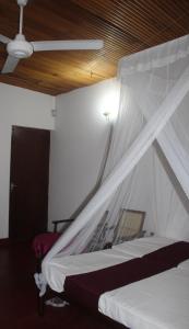 Cama ou camas em um quarto em Lazy Bear Best Hostel in Kandy