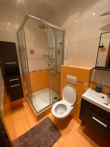 a bathroom with a shower and a toilet and a sink at Apartments 5 in the centre of Prague in Prague