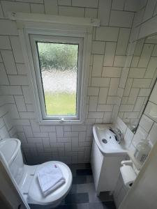 a bathroom with a toilet and a sink and a window at The Winchester Chalet by Sasco in Blackpool