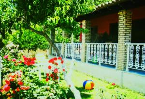 Zahrada ubytování Villa Marietta