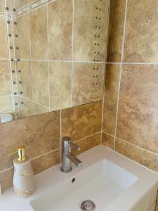 La salle de bains est pourvue d'un lavabo et d'une douche. dans l'établissement Elegant 3BD Edwardian Home Warminster, à Warminster