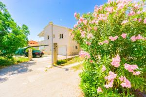 un arbusto con flores rosas delante de una casa en Karchna Erica central location in countyside with large barbecue area en Novalja