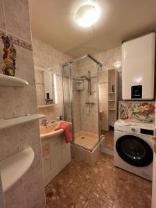 uma casa de banho com um chuveiro e uma máquina de lavar roupa em Côté Jardin - Terrasse, Calme et Cosy em Deauville