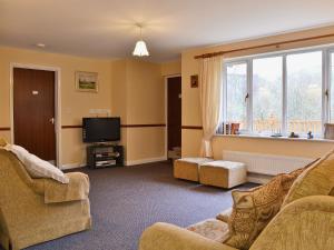 a living room with a couch and a tv at Swallow Cottage in Llanfair Caereinion
