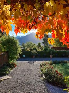 vistas a un jardín con hojas de otoño en Hotel Filser, en Füssen