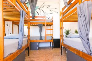 a couple of bunk beds in a room at Ocean Nomads Coworking in Arona
