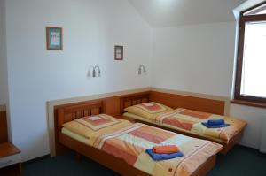 2 camas individuales en una habitación con ventana en Hotel u Kapra, en Lázně Bělohrad