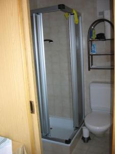 a bathroom with a shower and a toilet at Familienferienwohnung Haus Praschberger in Ebbs