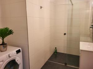 y baño con ducha y lavadora. en Apartment Schweglerstrasse - near Stadthalle en Viena