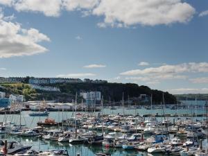 Gallery image of 9 Dolphin Court in Brixham
