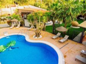einen Blick über einen Pool mit Palmen in der Unterkunft CARIBBEAN Home in Montcada i Reixac