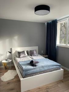 - une chambre avec un lit et une couverture bleue dans l'établissement Przestronny apartament 5 min od centrum Katowic., à Katowice