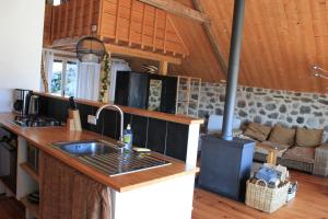 a kitchen with a sink and a stove in a cabin at Le Clou in Thiézac