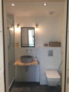 a bathroom with a sink and a toilet and a mirror at La Grange De L’Abille in Marchastel