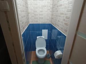 a bathroom with a toilet in a blue tiled room at Lux Home на Амурской in Ustʼ-Kamenogorsk