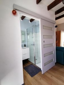 a bathroom with a shower and a glass door at Le Langka in Saint-Louis