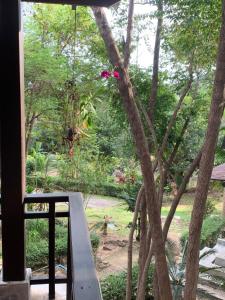 Zahrada ubytování บ้านธานี (BAAN THANI)