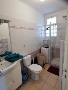 La salle de bains est pourvue de toilettes, d'un lavabo et d'une douche. dans l'établissement STUDIO 2 étoiles Rénové Proche des THERMES, à Lamalou-les-Bains