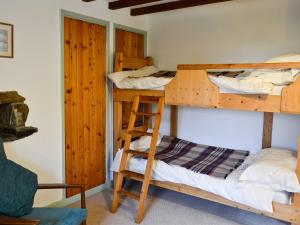 a room with two bunk beds and a ladder at Erw Goed Hen Stabl in Arthog