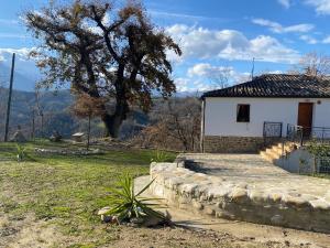 a house with a tree and a stone wall at Casa Vacanze Maja e Ermes in Arsita